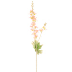 Pointed Larkspur Spray