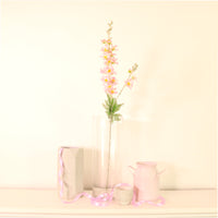 Pointed Larkspur Spray