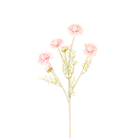 Melody Spray
