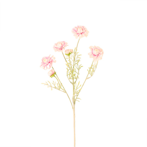 Melody Spray