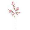 Ditzy Blossom Spray