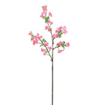 Ditzy Blossom Spray