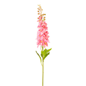 Delphinium (Large)