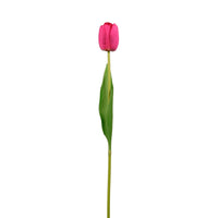 Real Touch Tulip Stem
