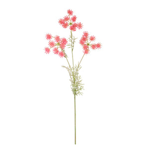Queen Anne's Lace Spray
