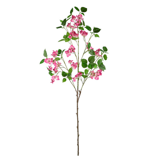 Wild Bougainvillea Large Spray