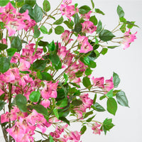 Wild Bougainvillea Large Spray