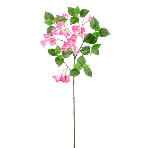 Wild Bougainvillea Spray Medium