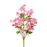 Wild Bougainvillea Bunch