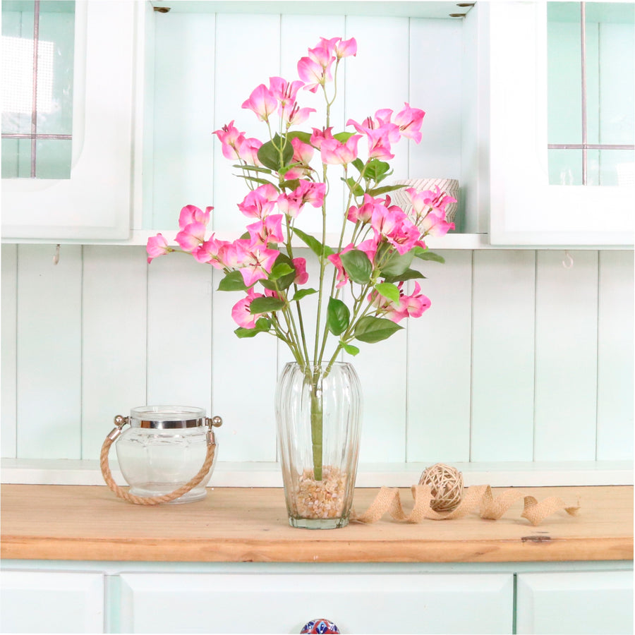 Wild Bougainvillea Bunch