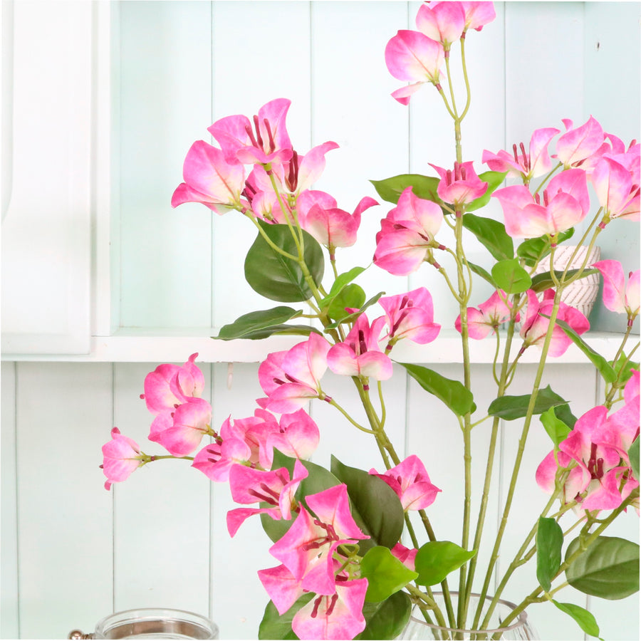 Wild Bougainvillea Bunch