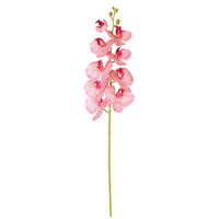 9 Head Orchid Stem
