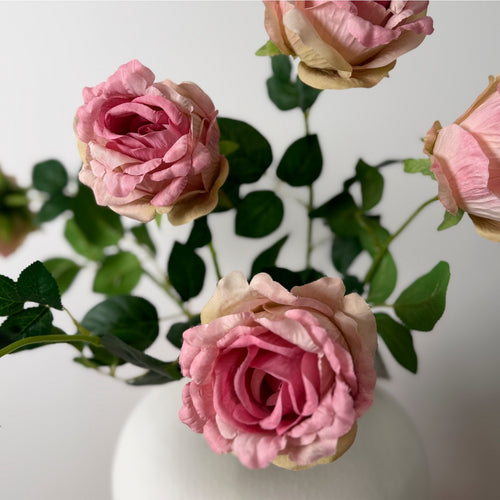 Ruffled Mabel Rose Stem