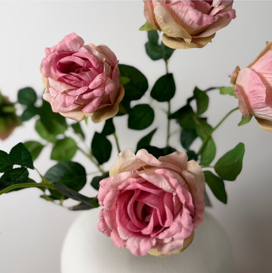 Ruffled Mabel Rose Stem