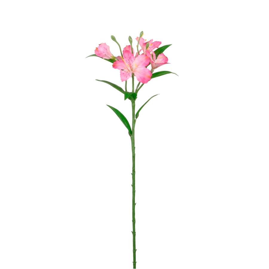 Speckled Alstroemeria Stem