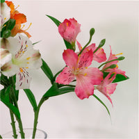 Speckled Alstroemeria Stem