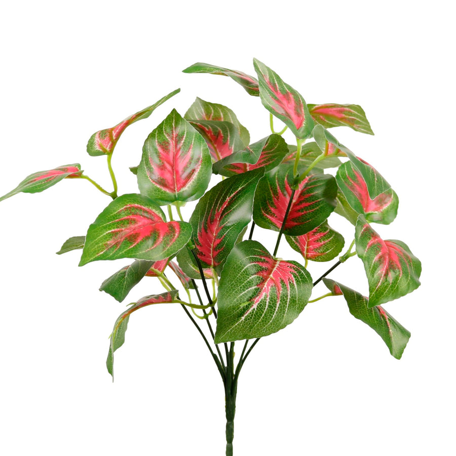 Medium Veined Dagahra Bunch Pink/Green