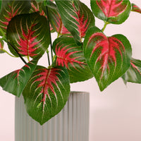 Medium Veined Dagahra Bunch Pink/Green