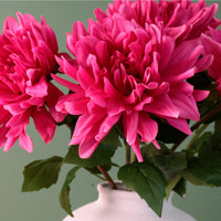 Real Touch Tipped Dahlia Stem