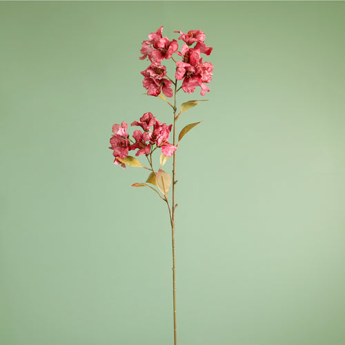 Textured Botanical Stem No.2