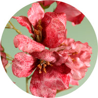 Textured Botanical Stem No.2