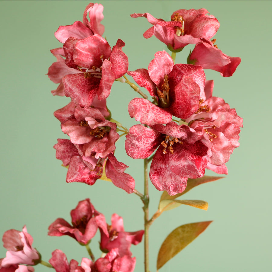 Textured Botanical Stem No.2