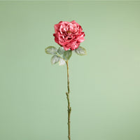 Textured Botanical Stem No.3