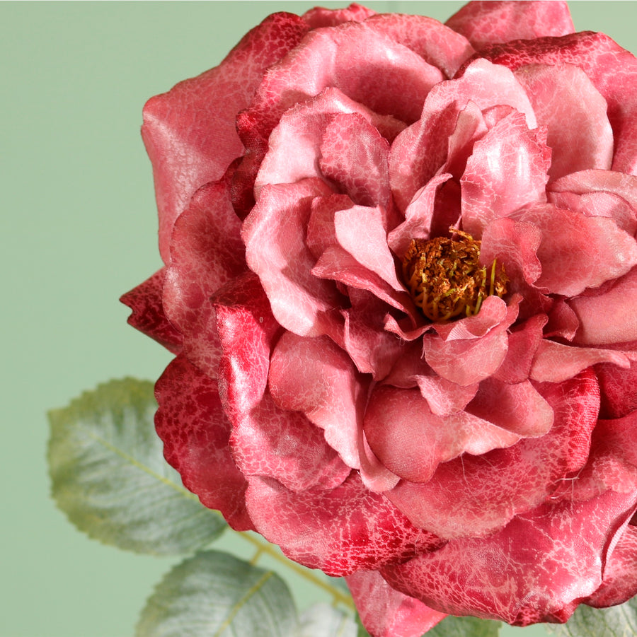 Textured Botanical Stem No.3