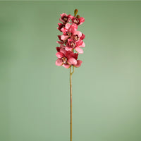 Textured Botanical Stem No.6