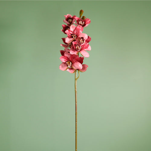 Textured Botanical Stem No.6