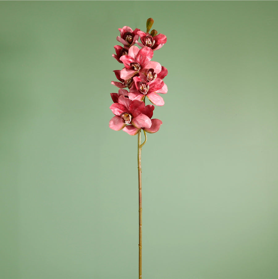 Textured Botanical Stem No.6