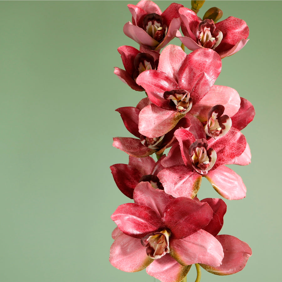 Textured Botanical Stem No.6