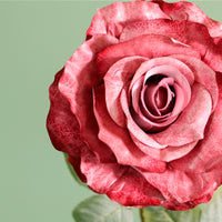 Textured Botanical Stem No.7