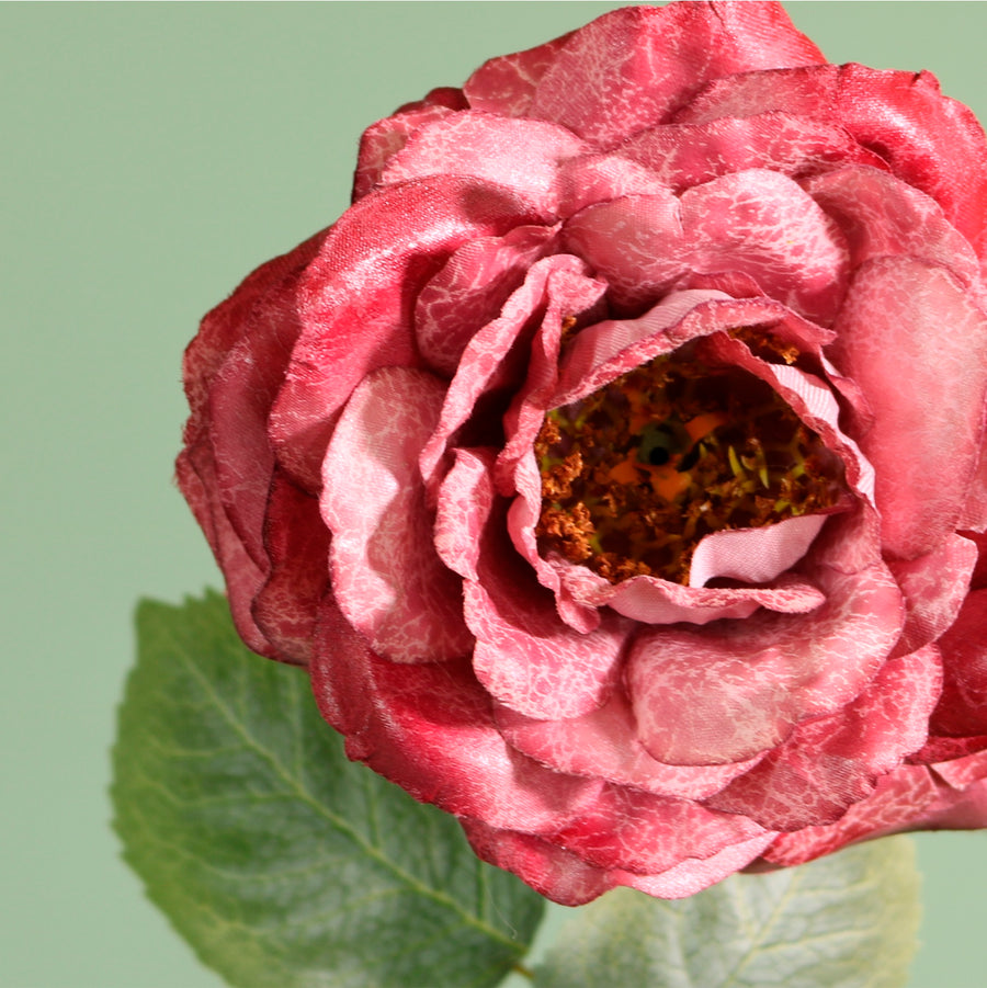 Textured Botanical Stem No.9