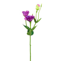 Frilly Lisianthus Spray Small