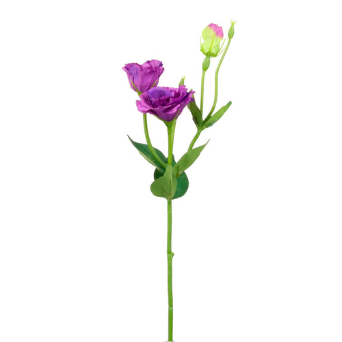 Frilly Lisianthus Spray Small