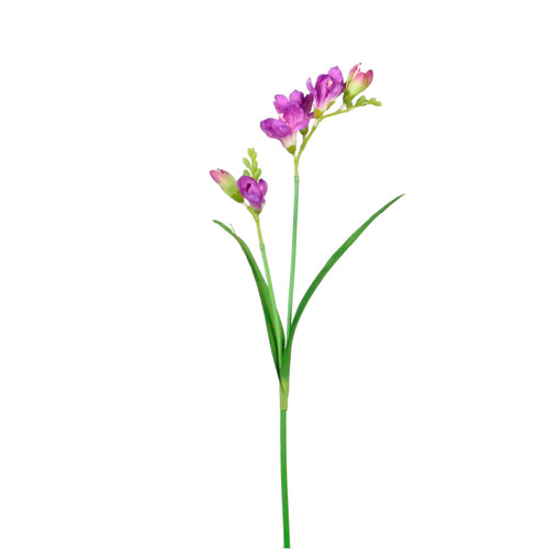 Freesia Spray