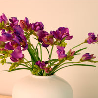 Freesia Spray