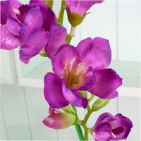 Freesia Spray