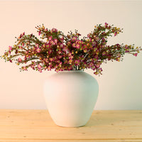Waxflower Chamelaucium Spray
