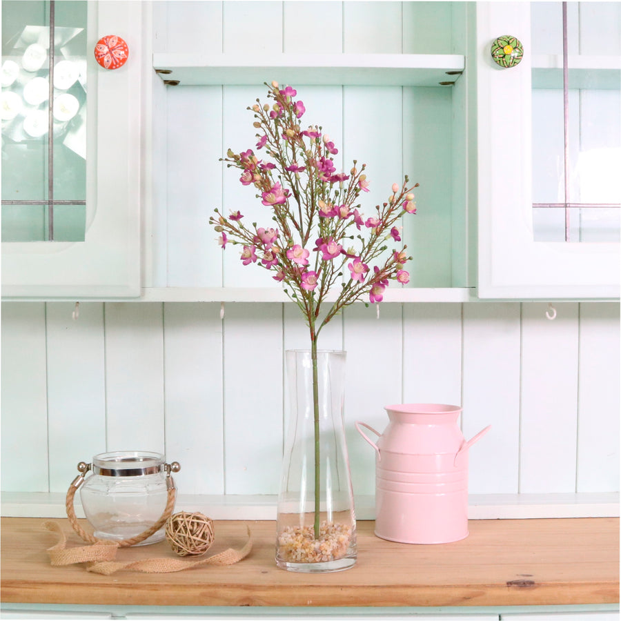 Waxflower Chamelaucium Spray