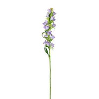 Campanula Bell Flower Stem