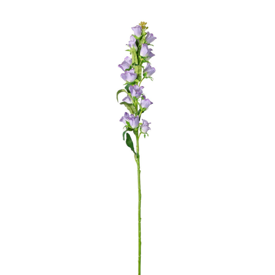 Campanula Bell Flower Stem