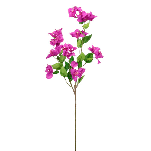 Ritzy Bougainvillea Spray