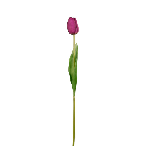 Real Touch Tulip Stem
