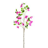 Wild Bougainvillea Large Spray