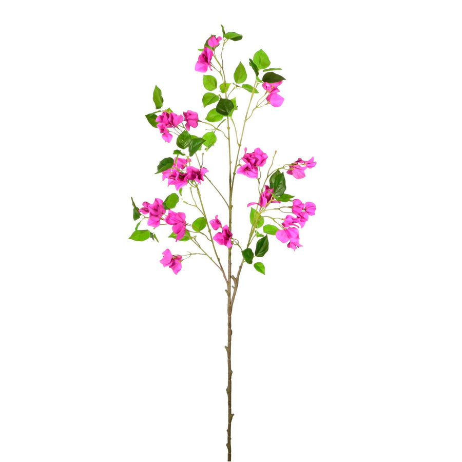 Wild Bougainvillea Large Spray