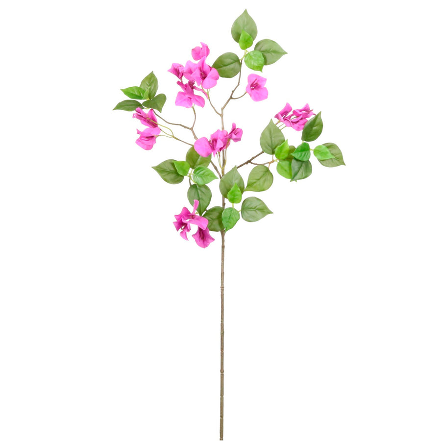 Wild Bougainvillea Spray Medium