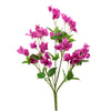 Wild Bougainvillea Bunch