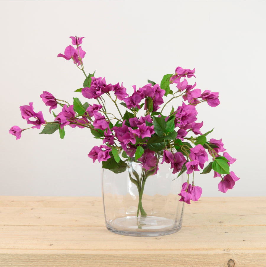 Wild Bougainvillea Bunch